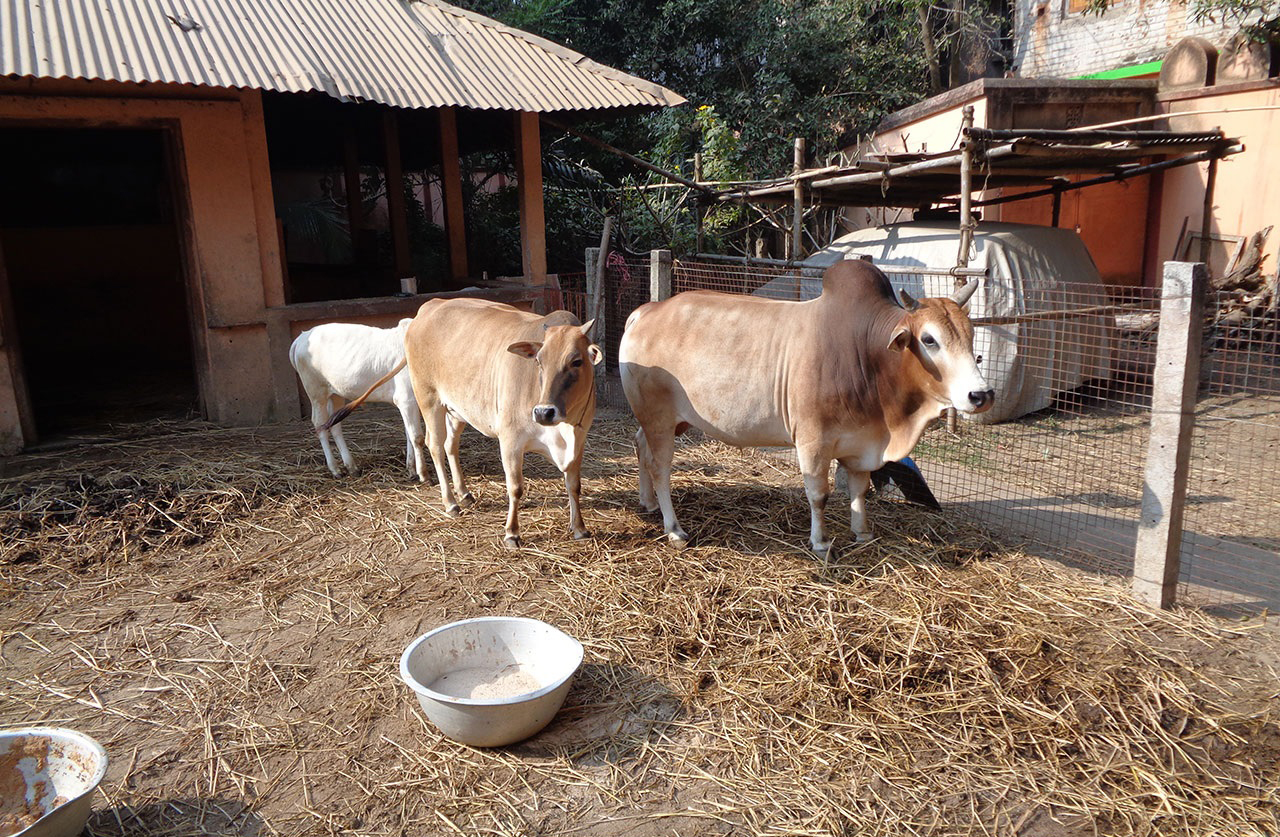 goumata